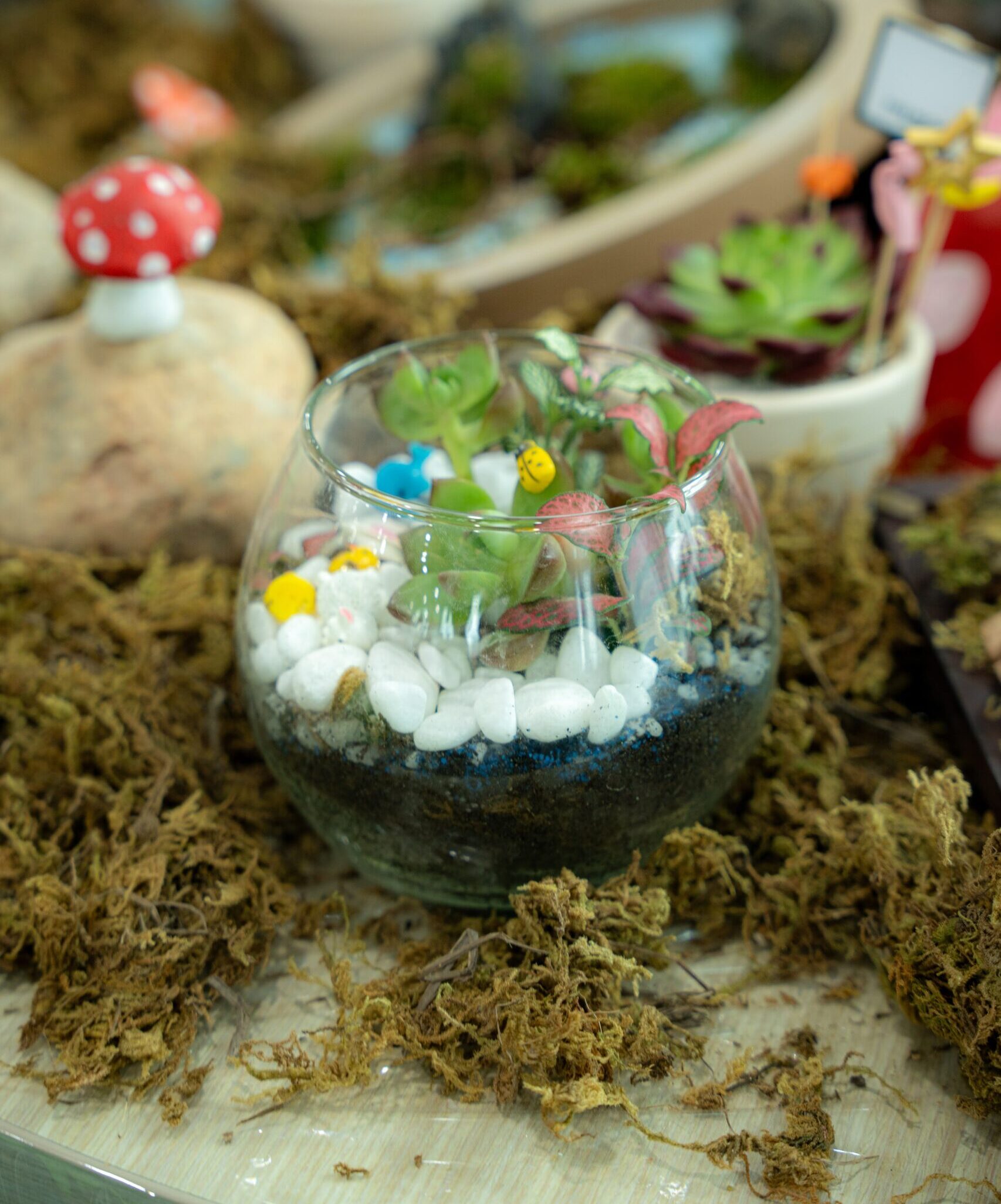 Workshop Doanh Nghiệp - Terrarium