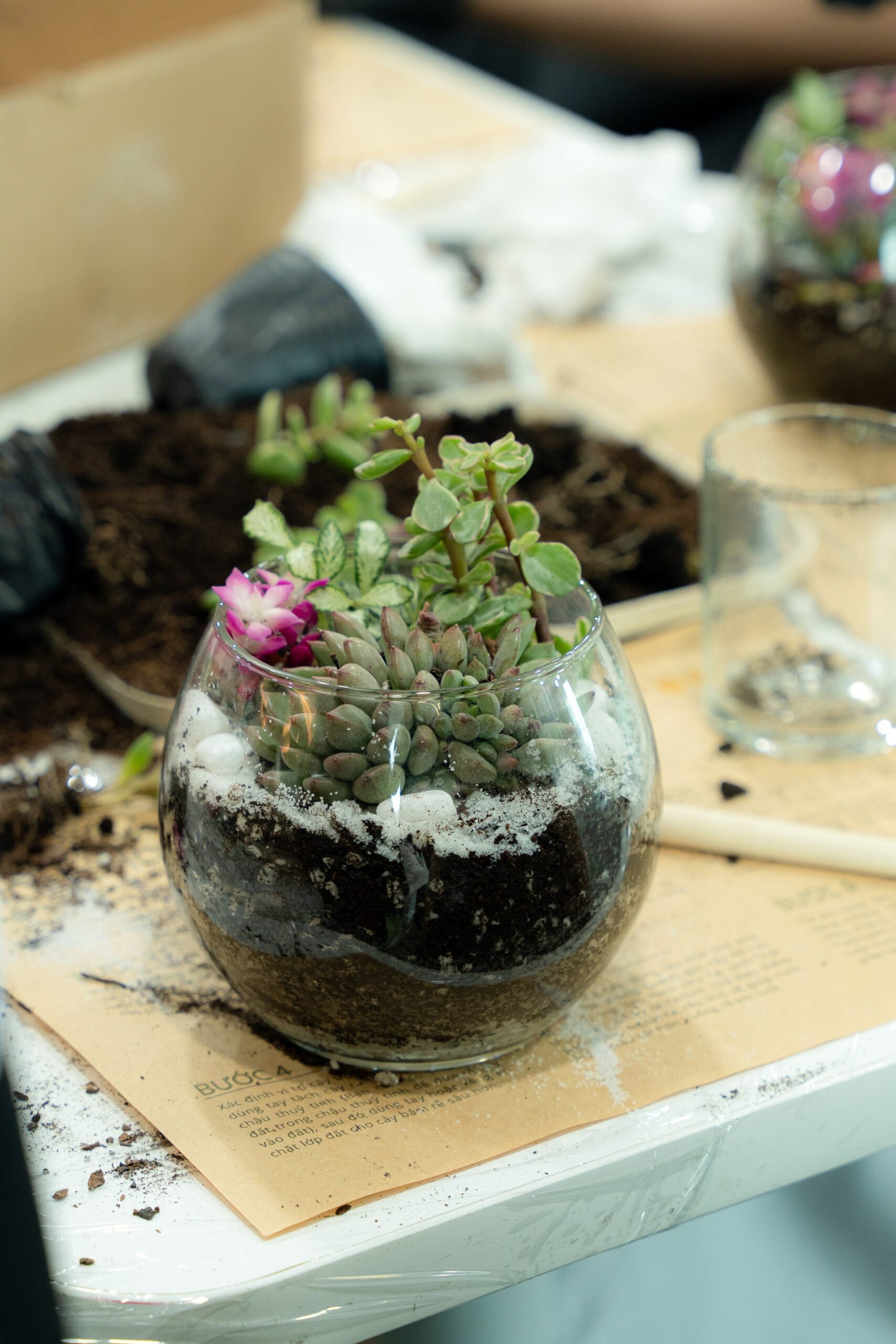 Workshop Terrarium