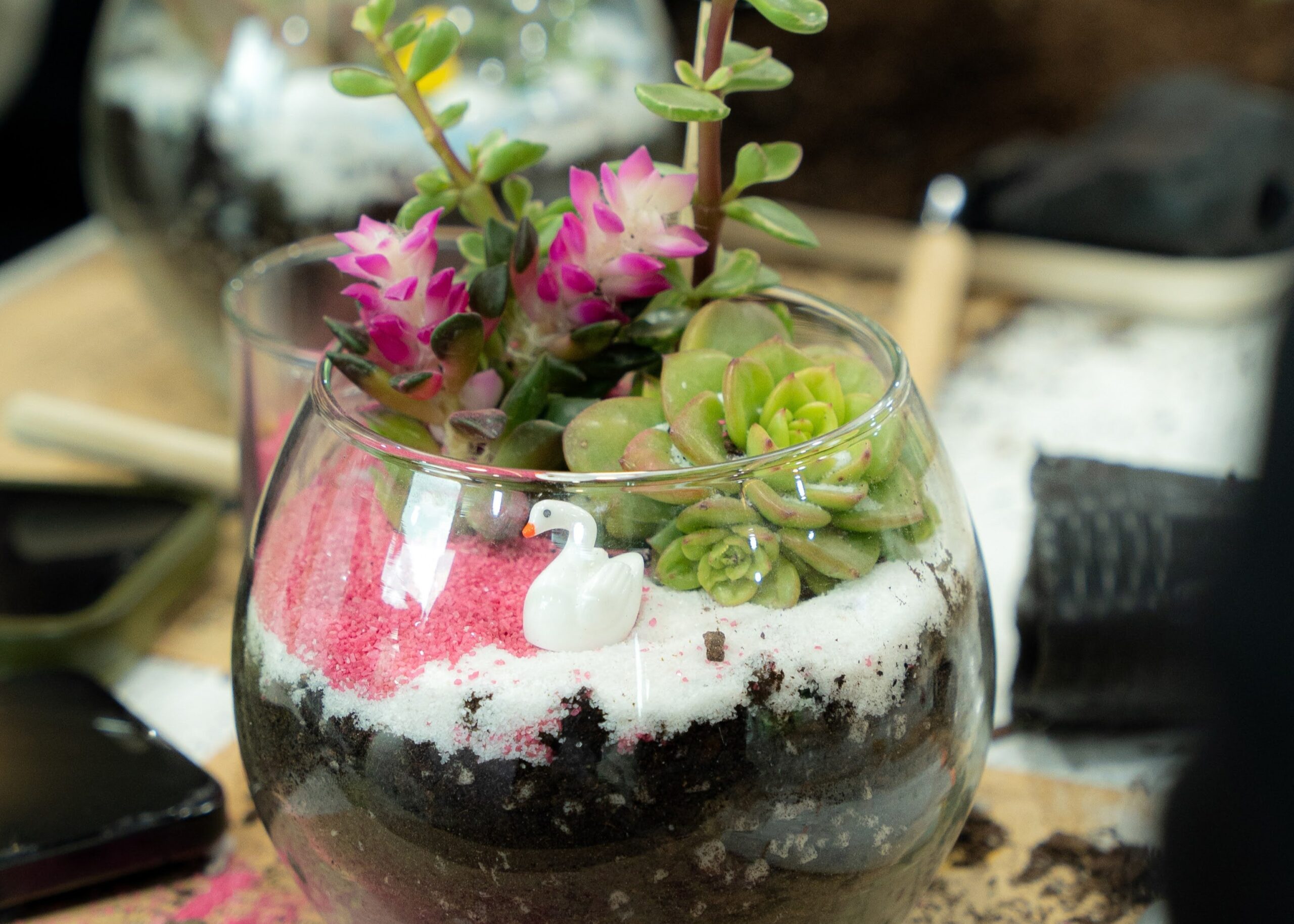 Workshop Doanh Nghiệp - Terrarium Workshop Doanh Nghiệp - Terrarium