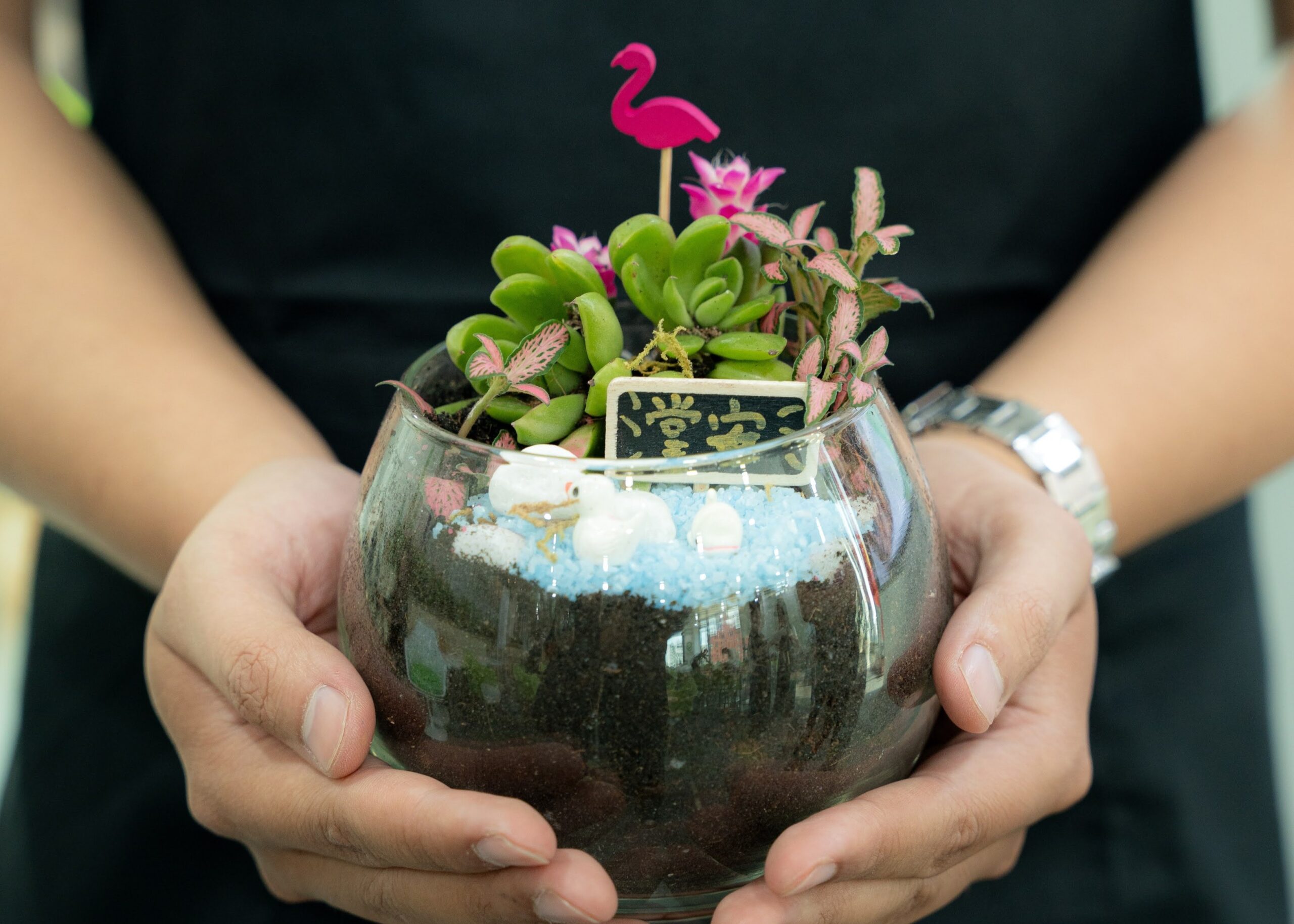 Workshop Doanh Nghiệp - Terrarium Workshop Doanh Nghiệp - Terrarium