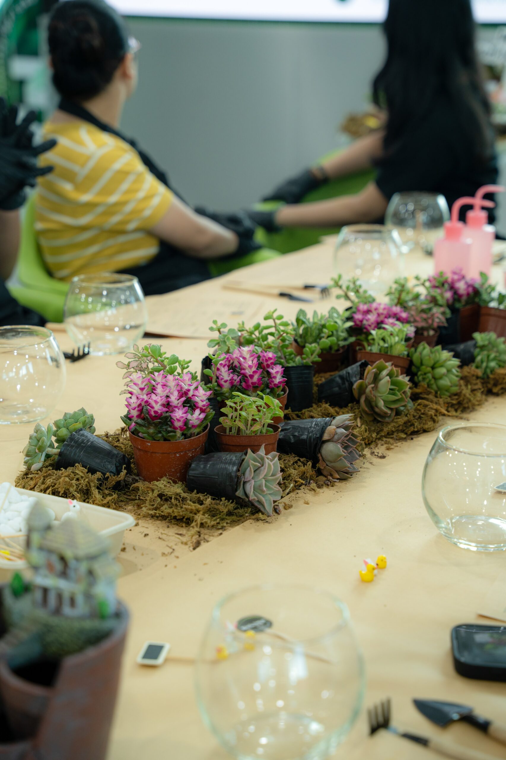 Workshop Doanh Nghiệp - Terrarium