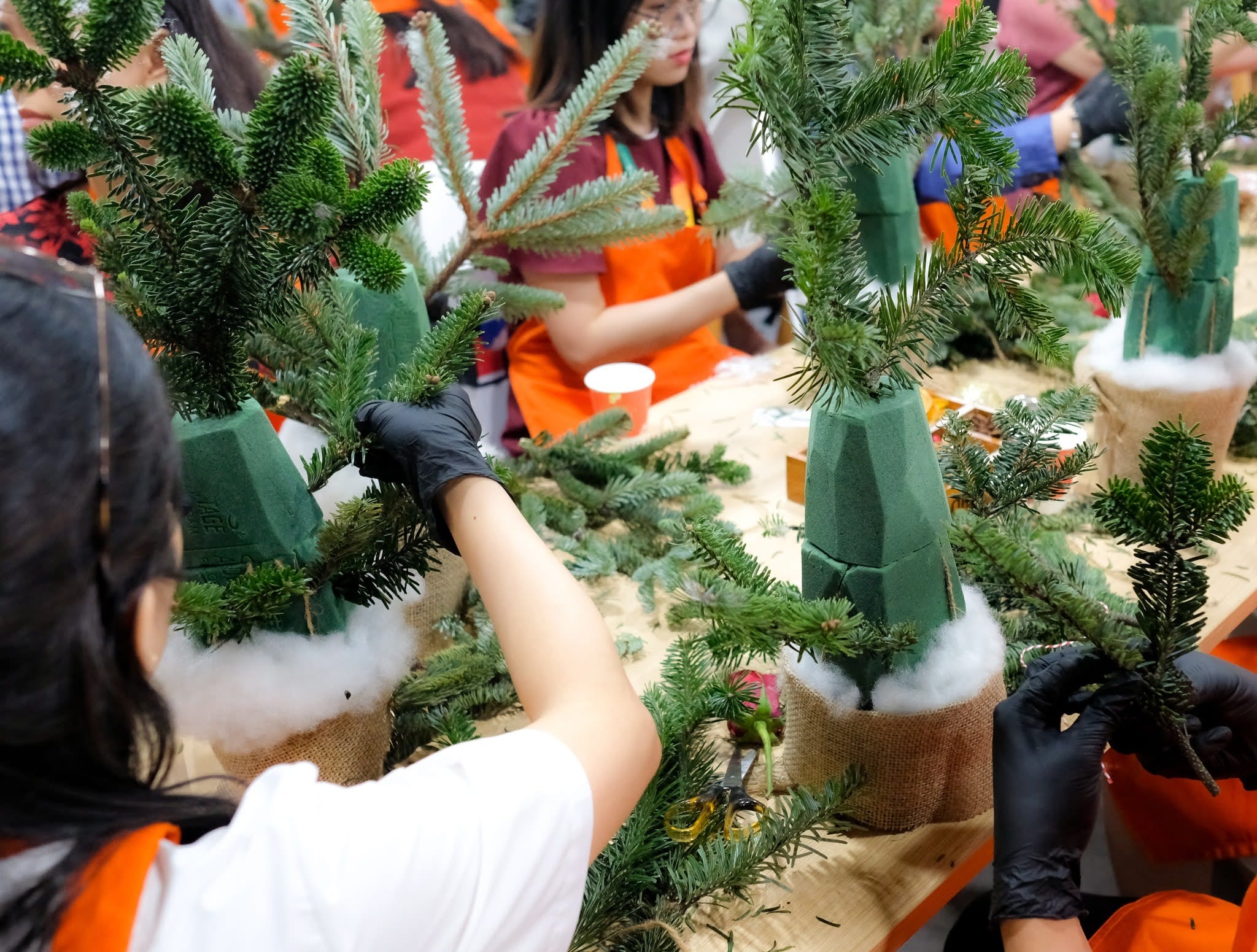 Workshop Cây Thông Noel Mini ( Xmas Tree Making)