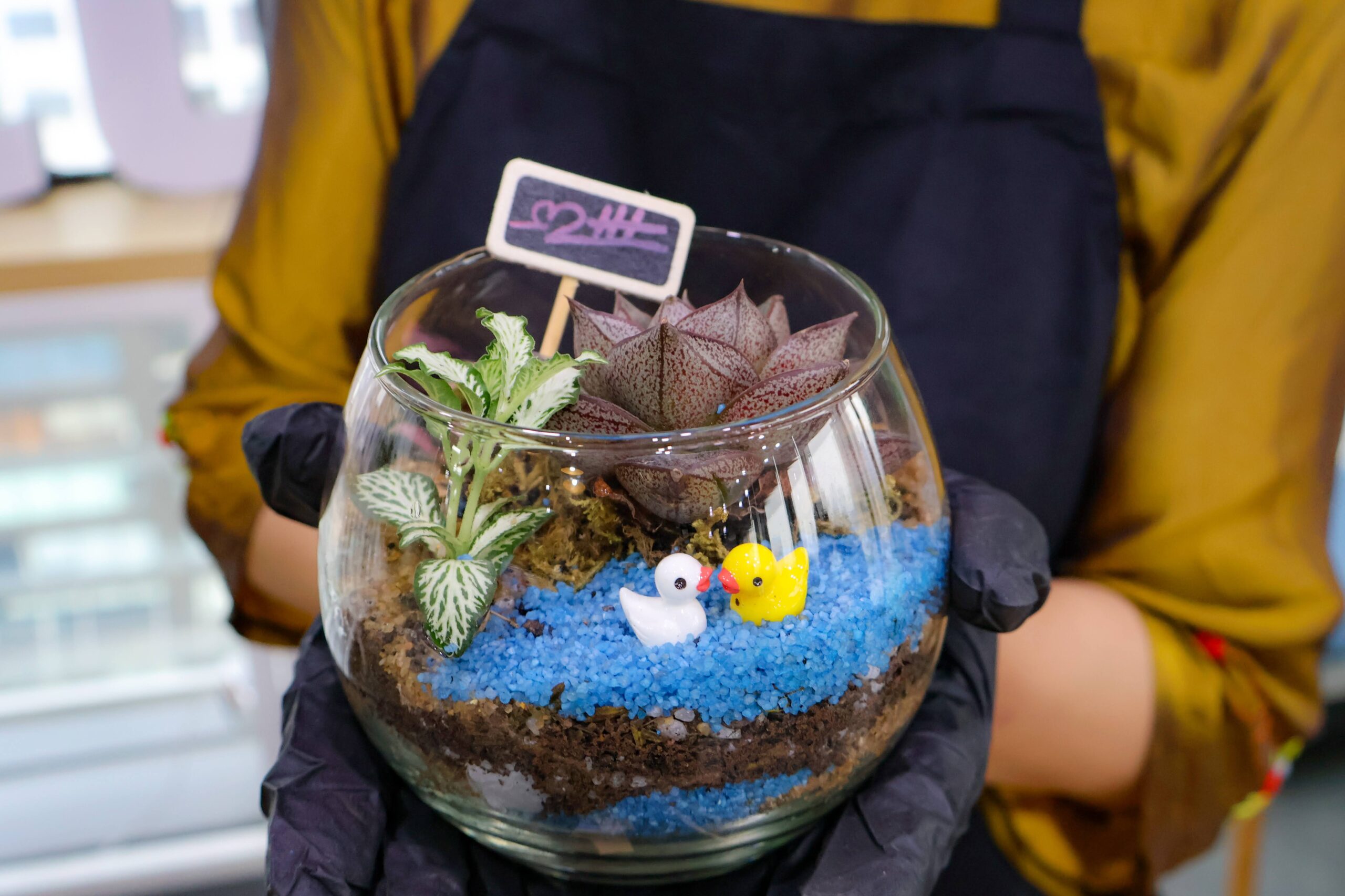 Workshop Doanh Nghiệp - Terrarium