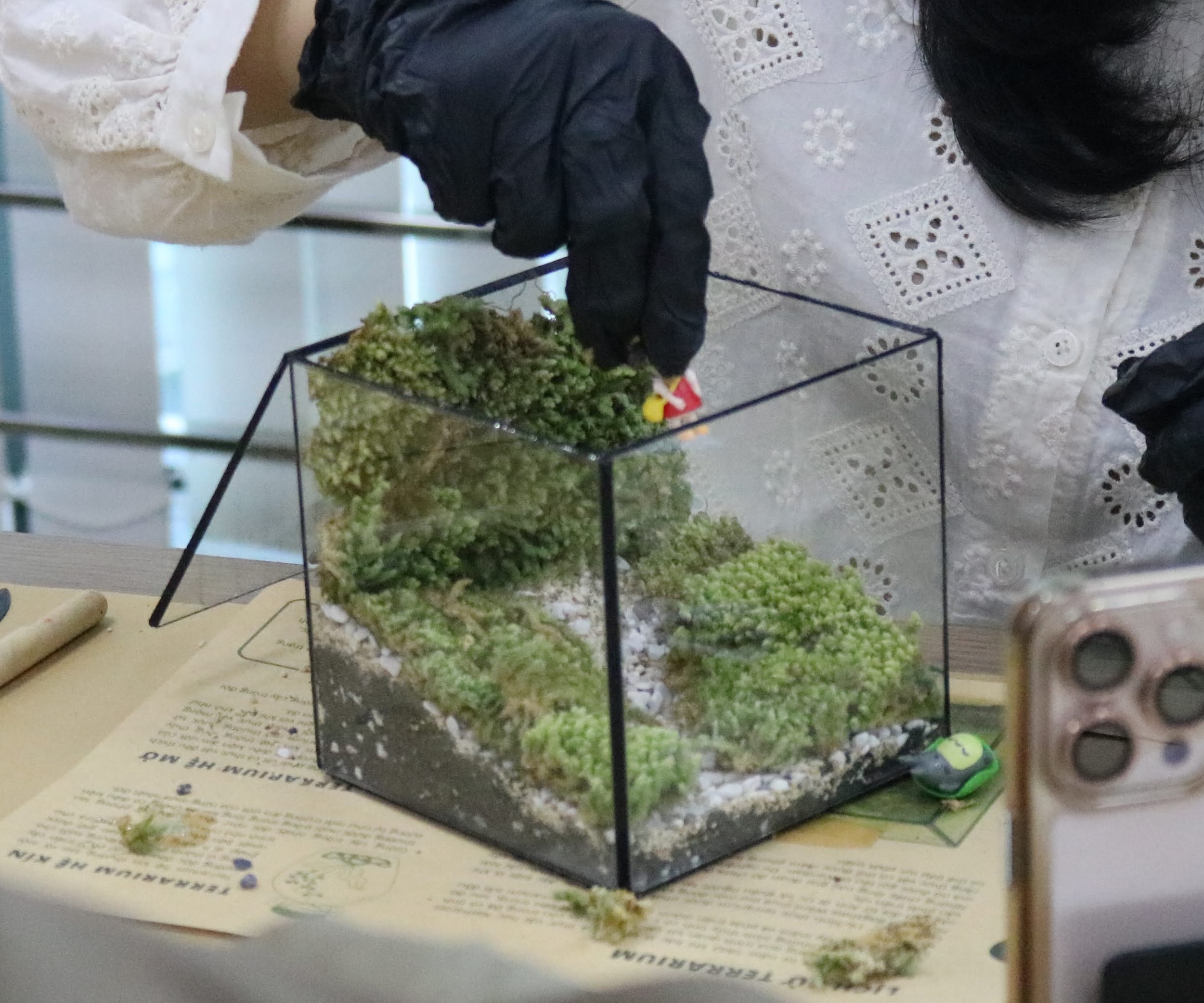 Workshop Terrarium