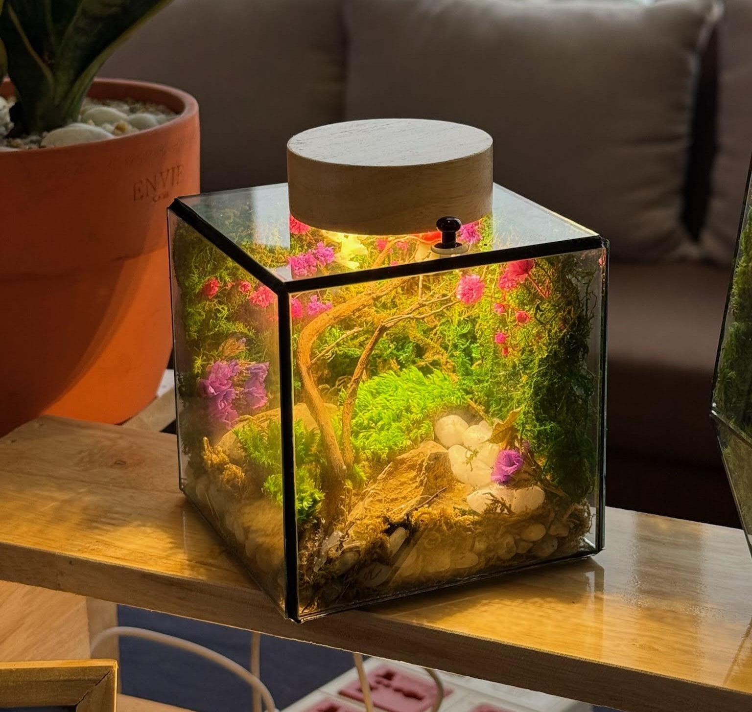 Workshop Terrarium