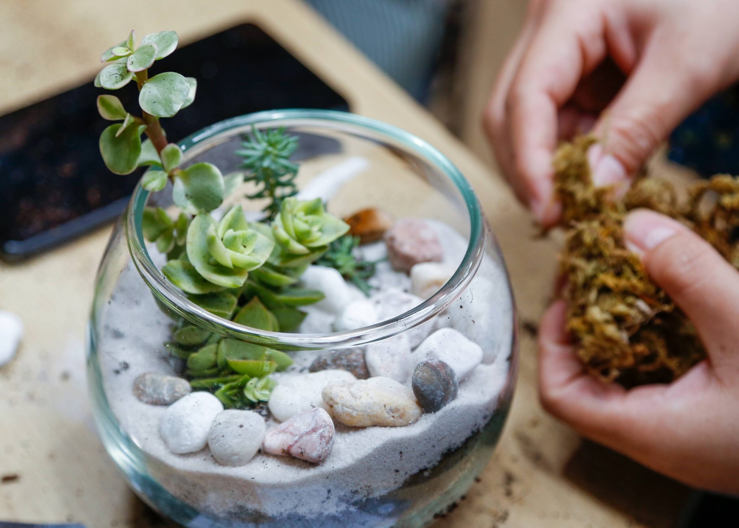Workshop Doanh Nghiệp - Terrarium Workshop Doanh Nghiệp - Terrarium