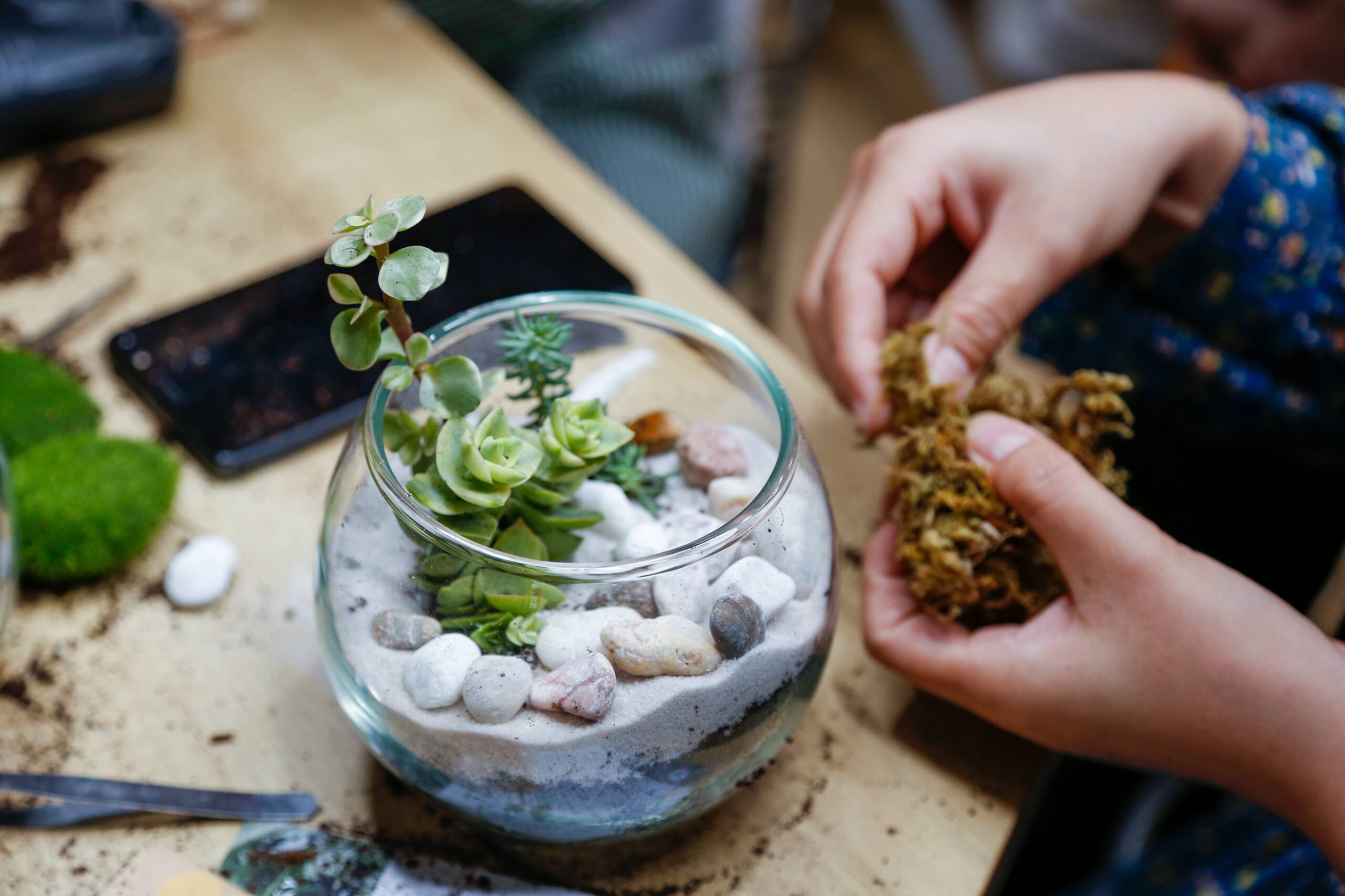 Workshop Doanh Nghiệp - Terrarium