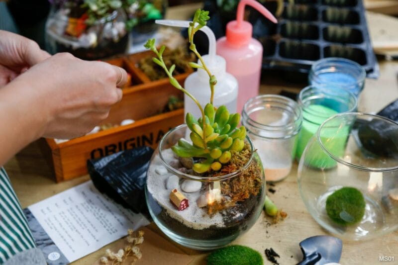 Workshop Terrarium