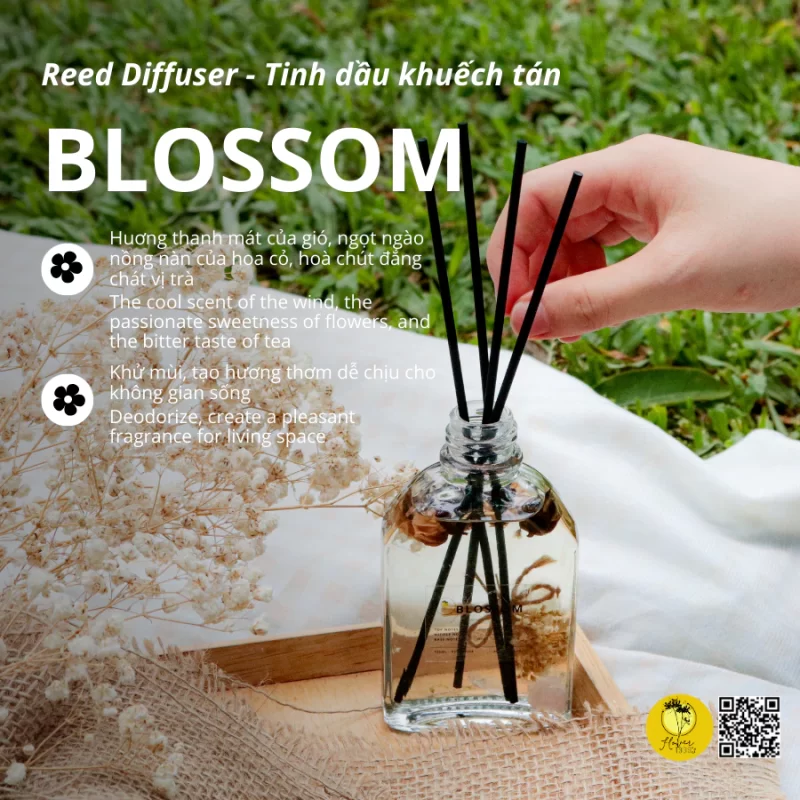 Tinh dầu khuếch tán trong (Nhiều mùi) - Reed Diffuser - Flower 1969's