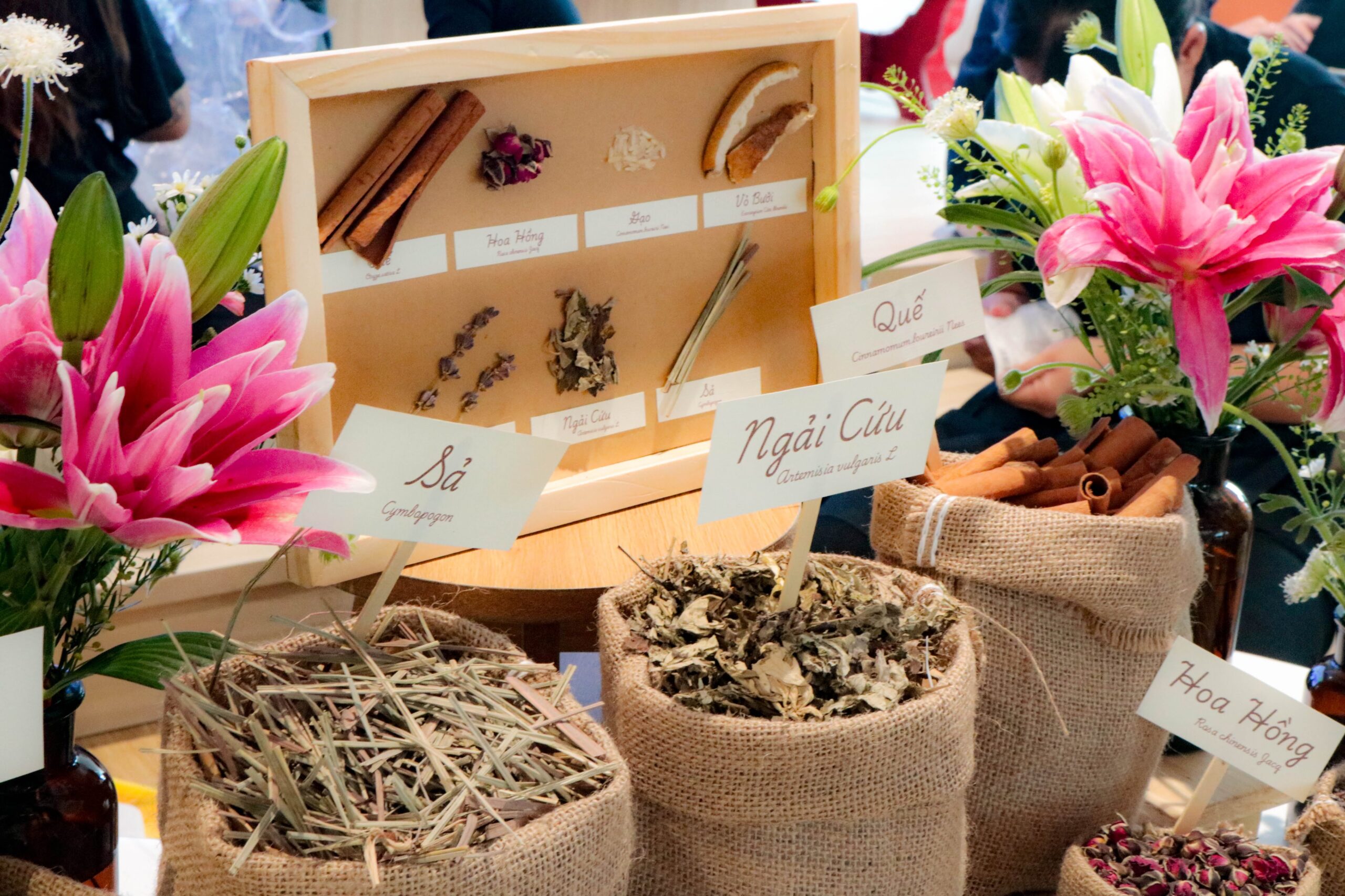 Workshop Túi Thơm Thảo Mộc