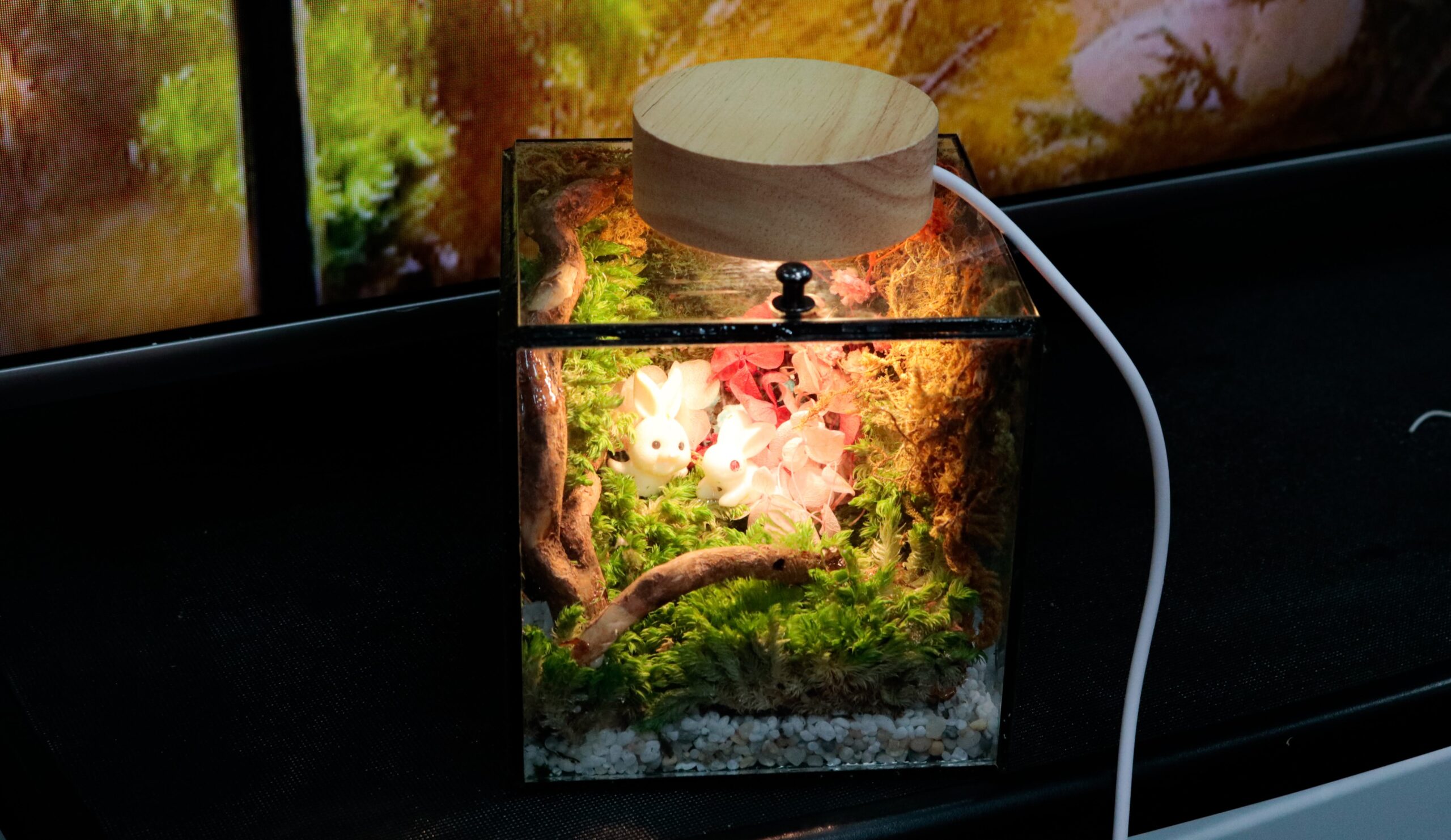 Workshop Doanh Nghiệp - Đèn Ngủ Rêu Vĩnh Cửu (Terrarium Night Light)