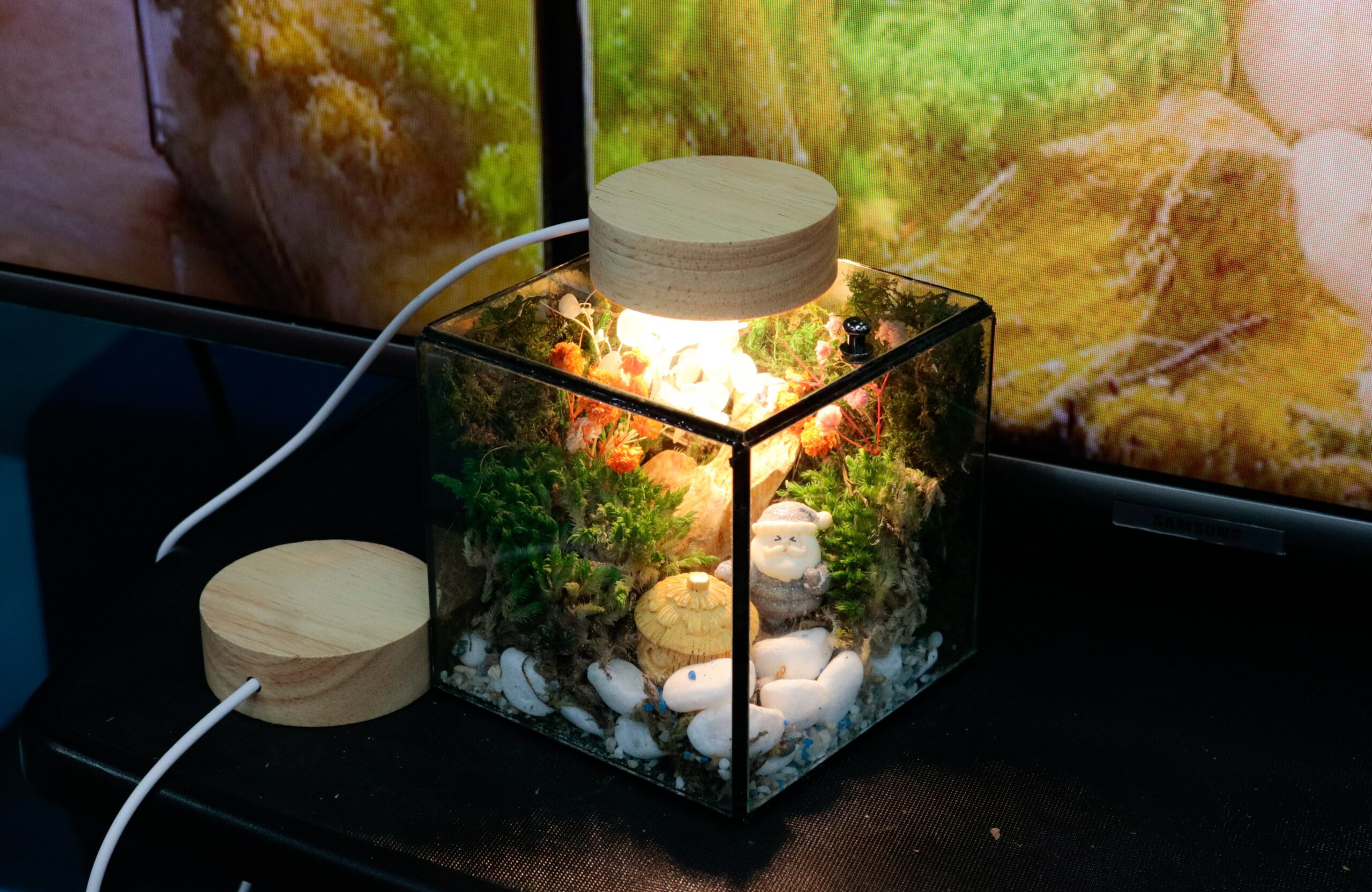 Workshop Doanh Nghiệp - Đèn Ngủ Rêu Vĩnh Cửu (Terrarium Night Light)
