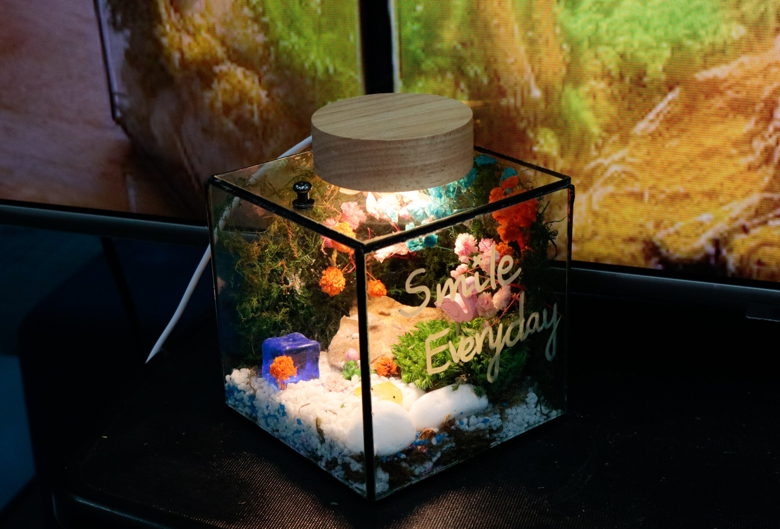 Workshop Doanh Nghiệp - Đèn Ngủ Rêu Vĩnh Cửu (Terrarium Night Light)