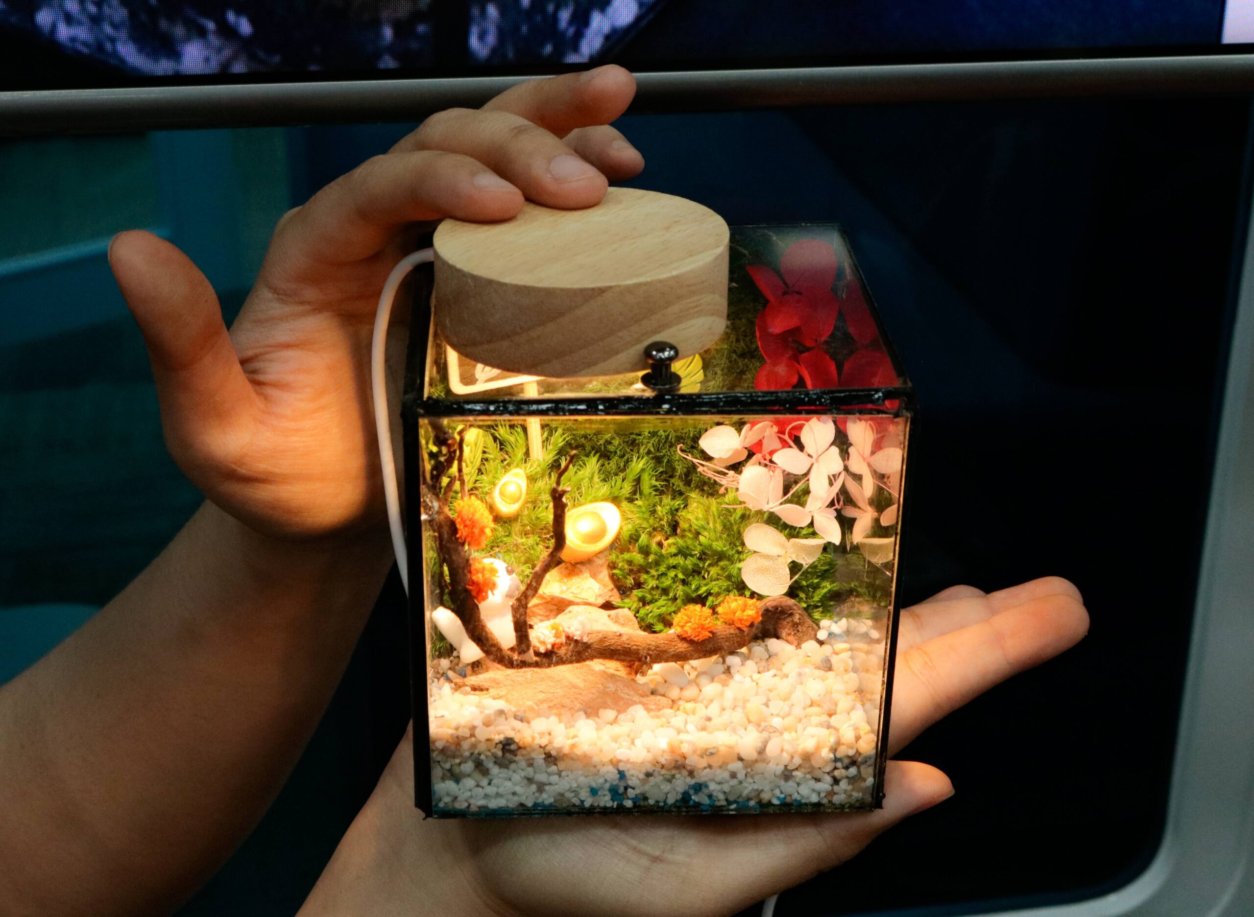 Workshop Doanh Nghiệp - Đèn Ngủ Rêu Vĩnh Cửu (Terrarium Night Light)