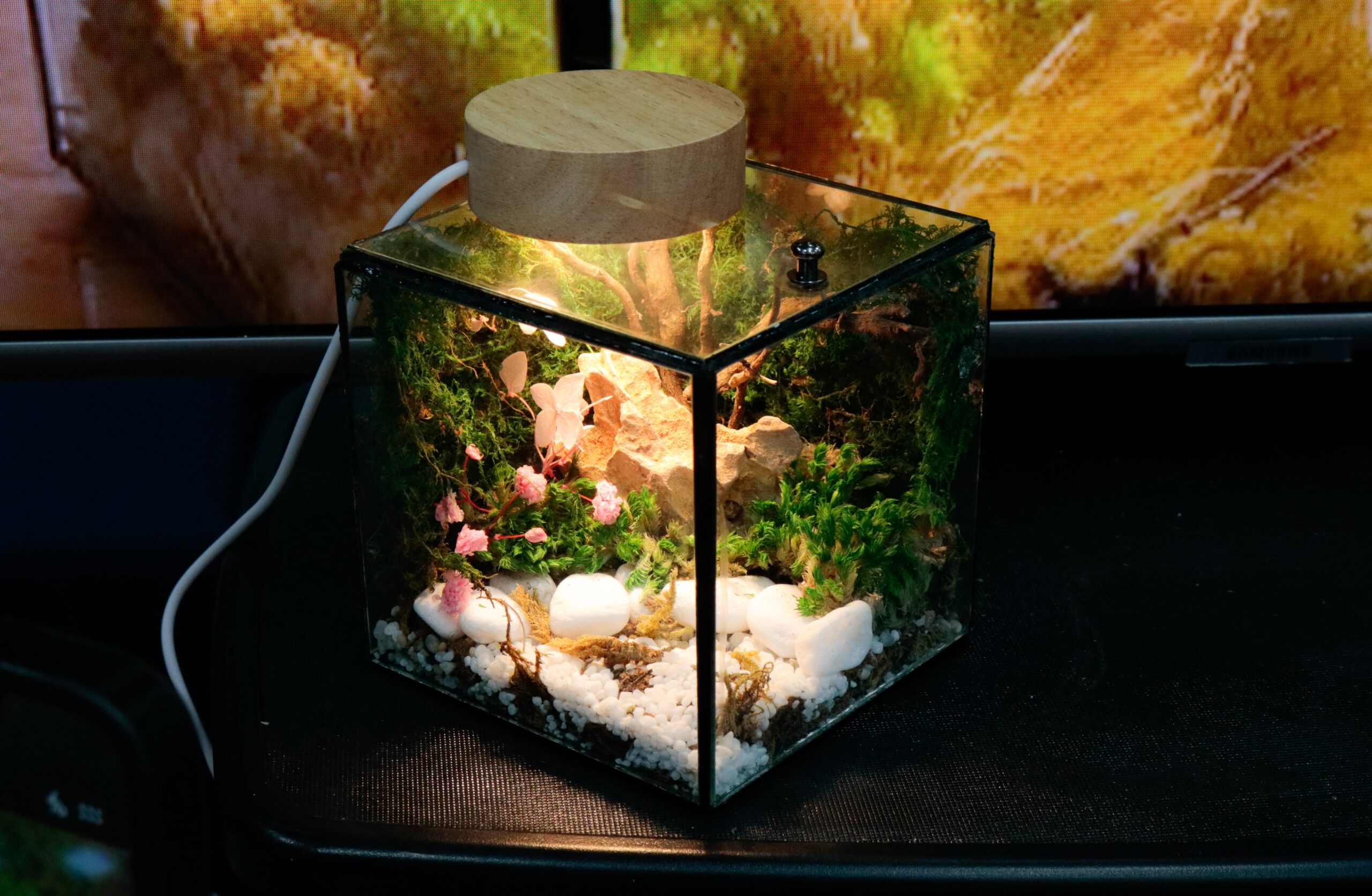Workshop Doanh Nghiệp - Đèn Ngủ Rêu Vĩnh Cửu (Terrarium Night Light)