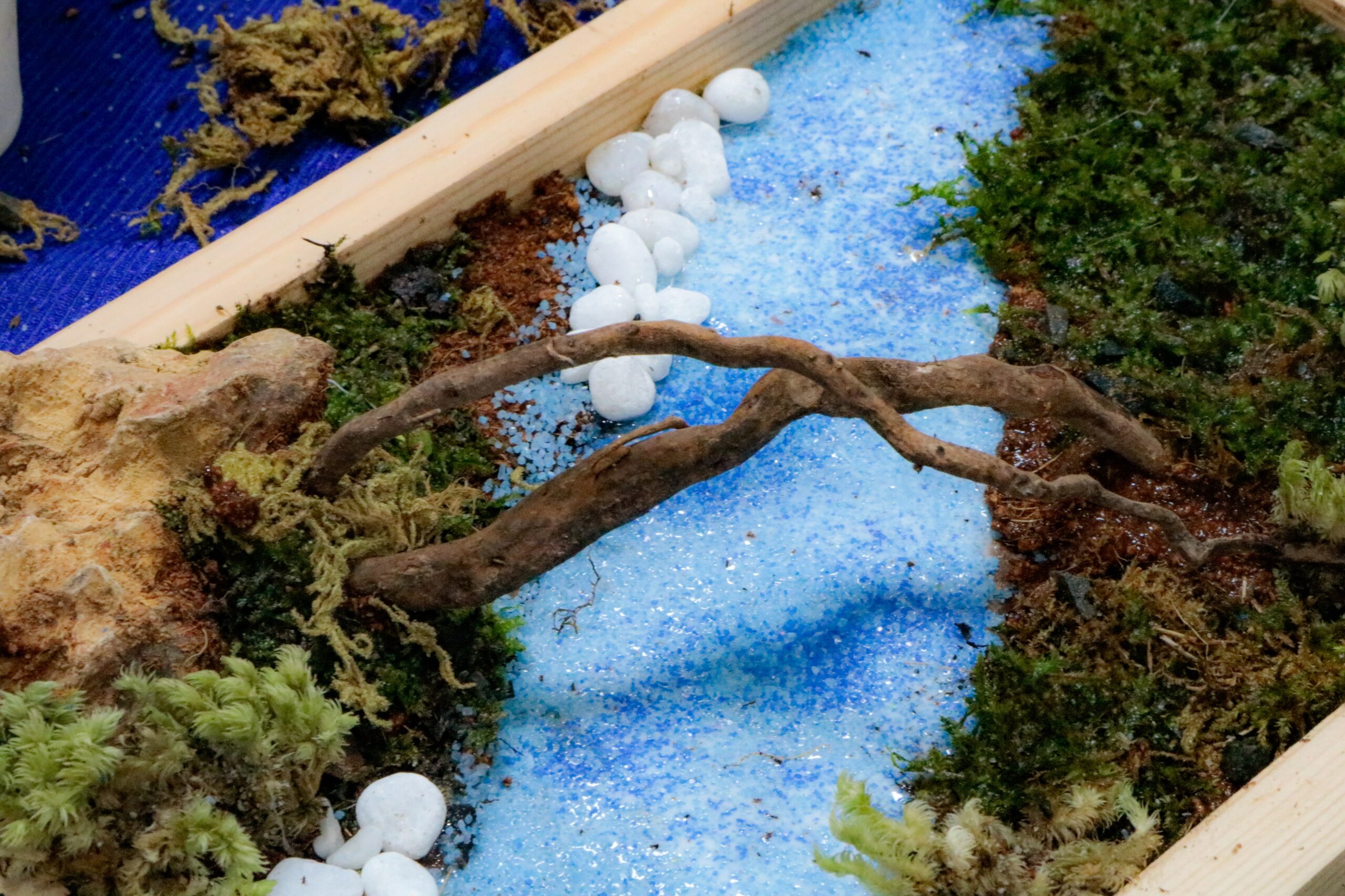 Workshop Doanh Nghiệp - Khung Tranh Rêu (Moss Frame)