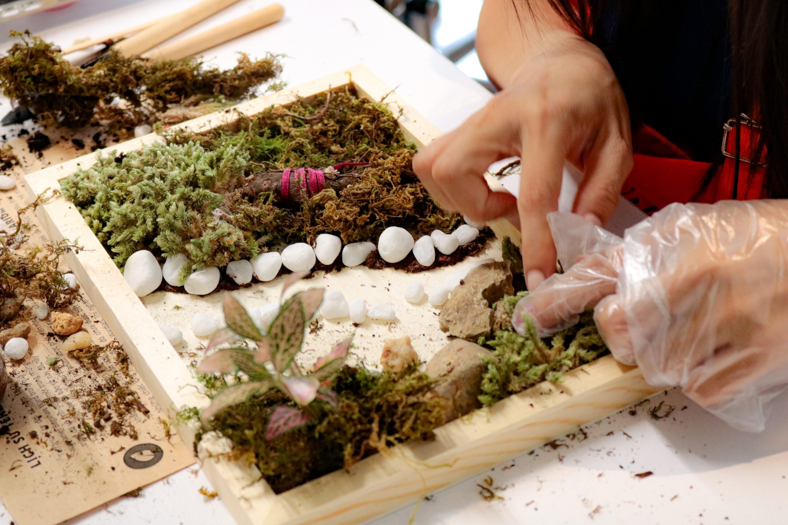 Workshop Doanh Nghiệp - Khung Tranh Rêu (Moss Frame)