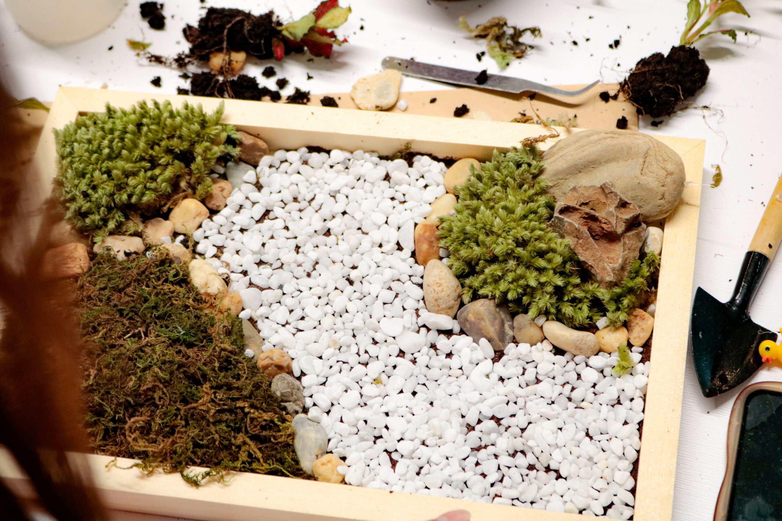 Workshop Doanh Nghiệp - Khung Tranh Rêu (Moss Frame)