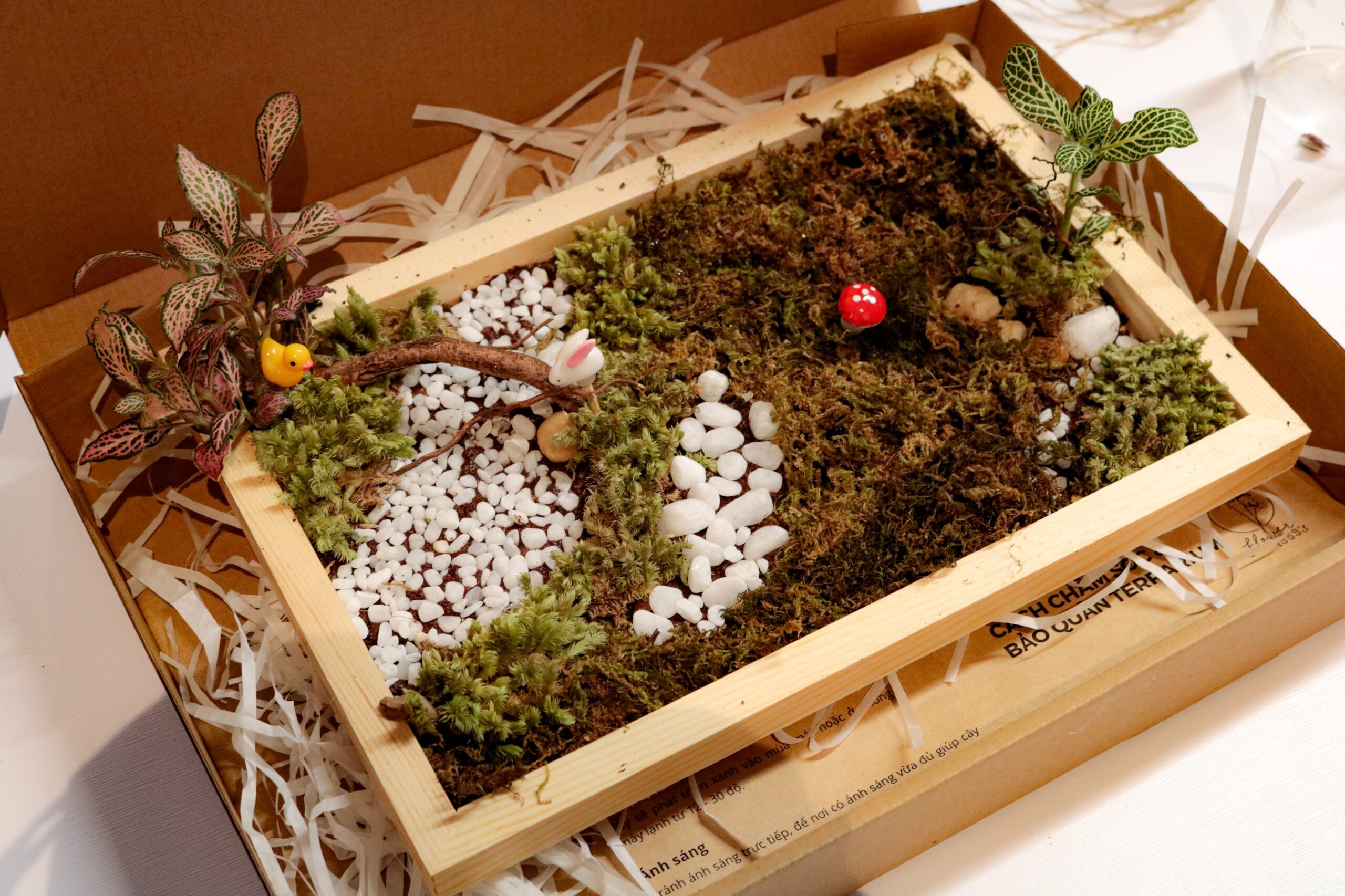 Workshop Doanh Nghiệp - Khung Tranh Rêu (Moss Frame)